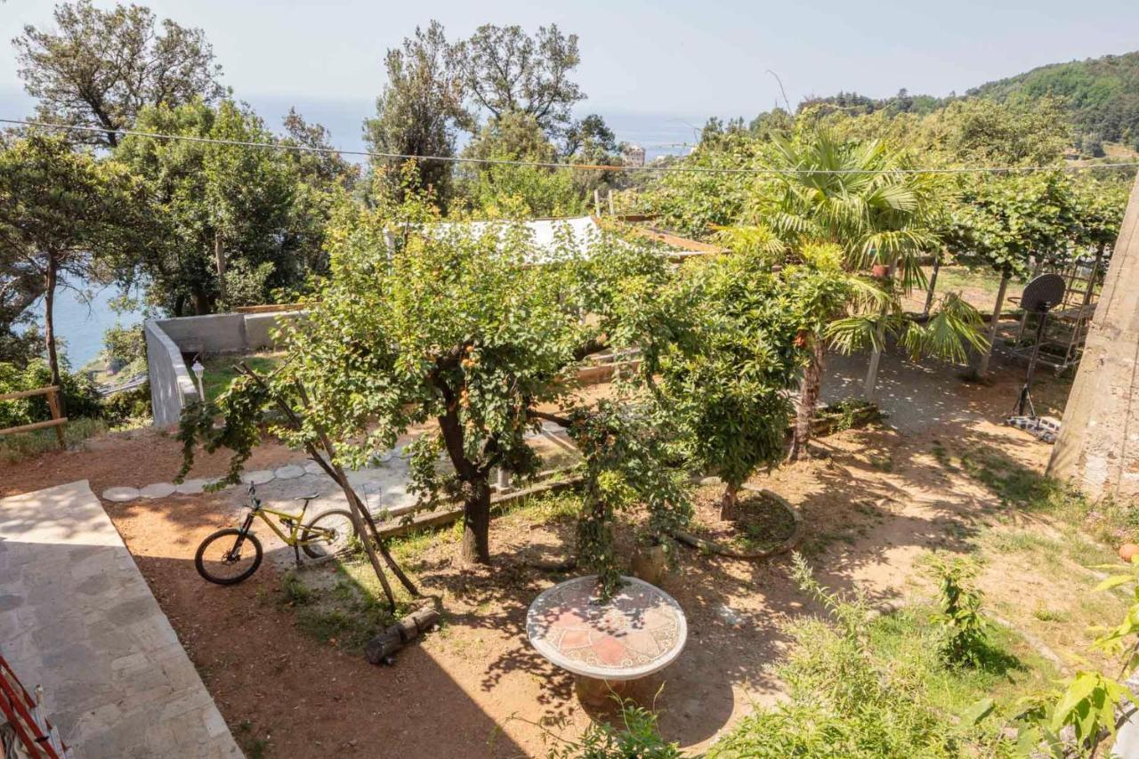 La BRIGNA B&B Il bosco sul mare Genova Esterno foto